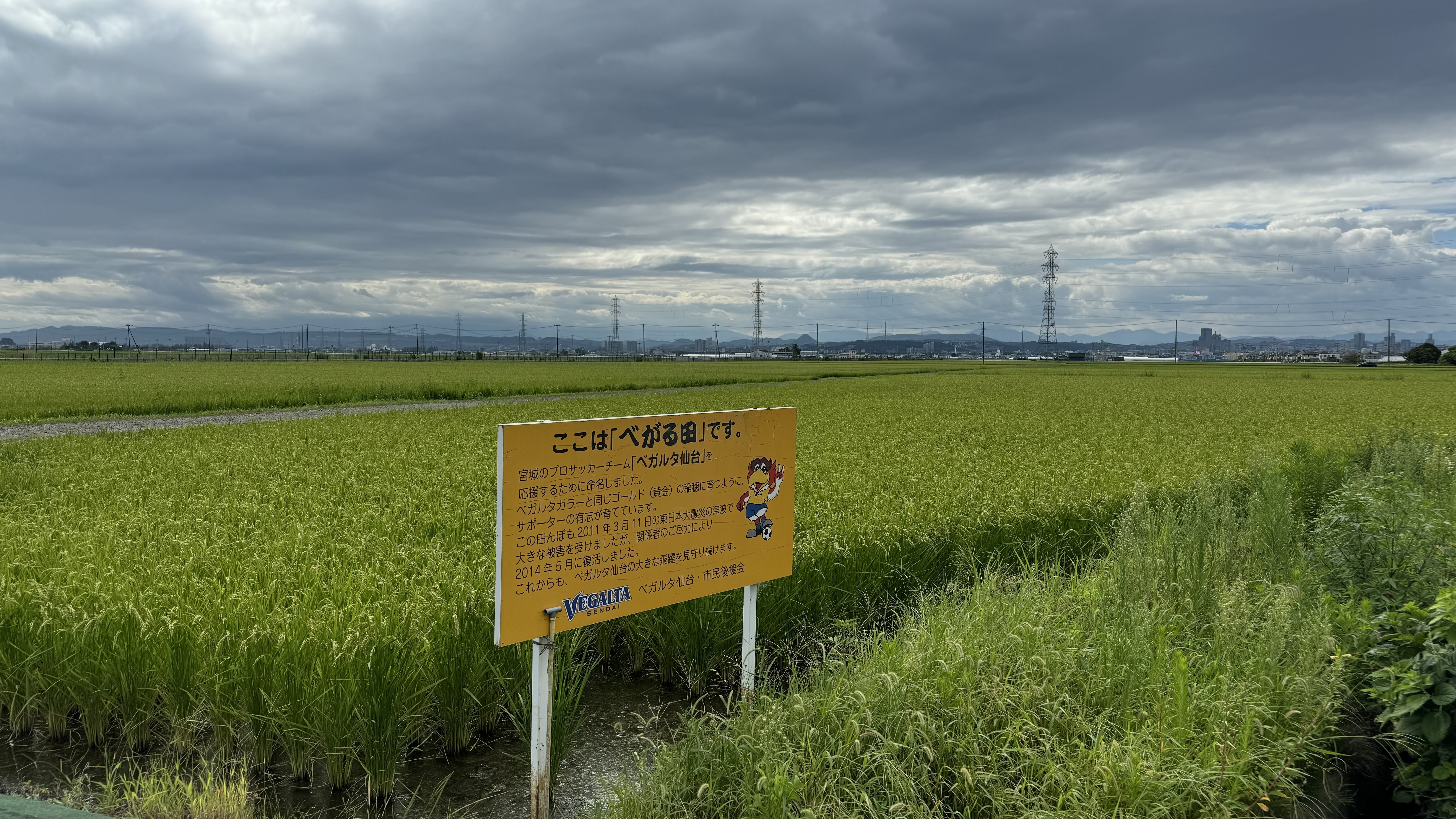 べがる田8月10日全景　看板入り